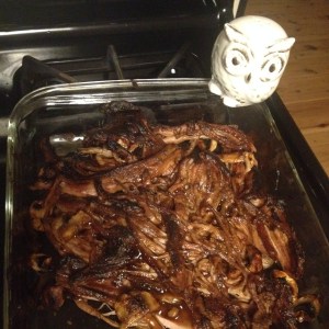 Bob is such a carnivore and wanted to do a 'Canon Ball' into the sizzling meat. Oh Bob!